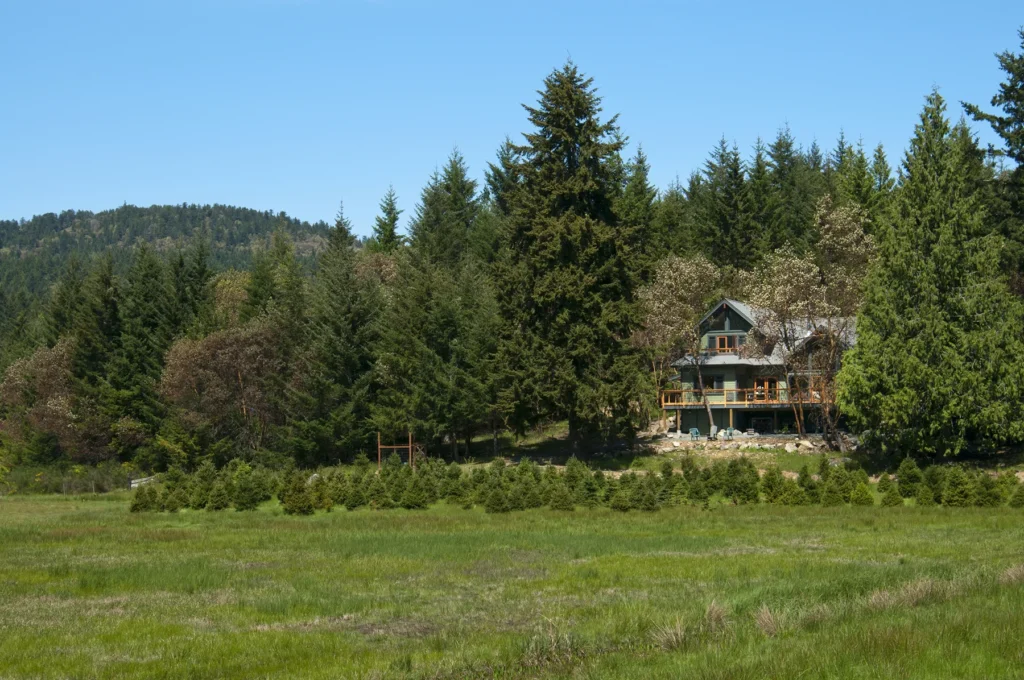 falcon-heights-tranquility-forest-home-design