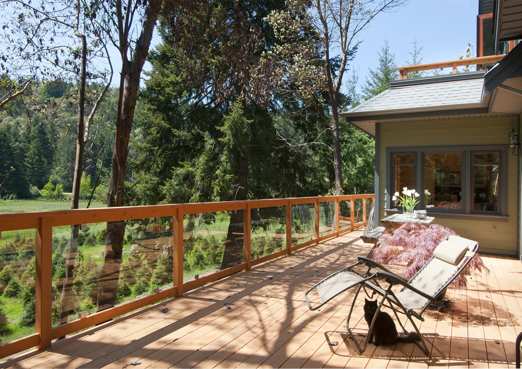 falcon-heights-tranquility-panoramic-nature-views